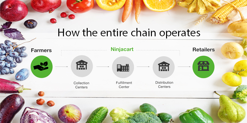 How Ninjacart built a tech-enabled supply chain for fresh farm produce, delivering 500 tonnes daily