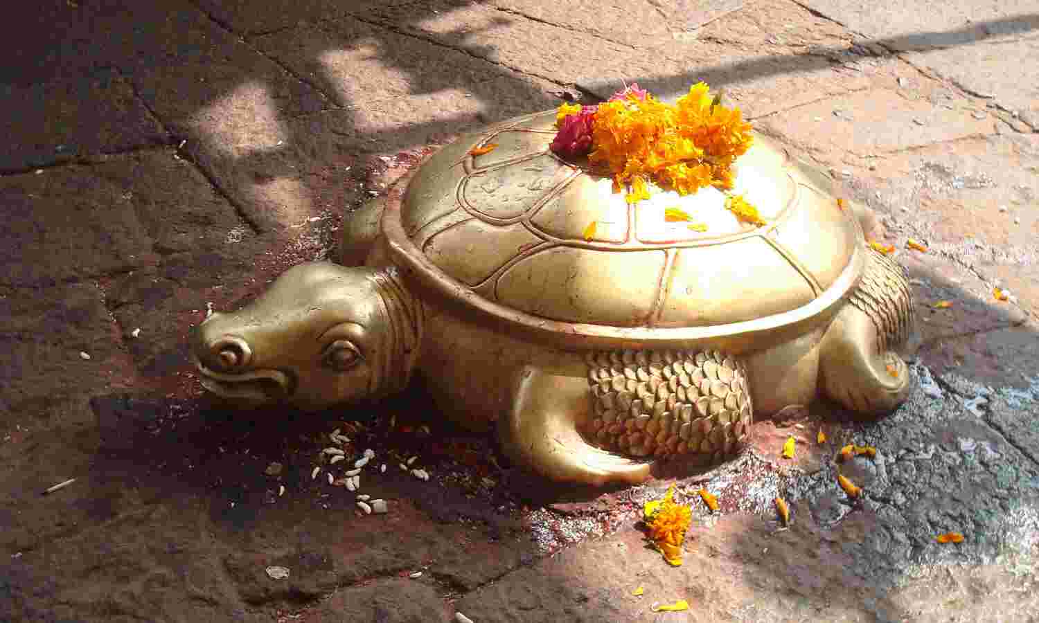 Second Avtaar of Vishnu to be killed in dredging by the thousands for the Ganga Waterway Second Avtaar of Vishnu to be killed in dredging by the thousands for the Ganga Waterway