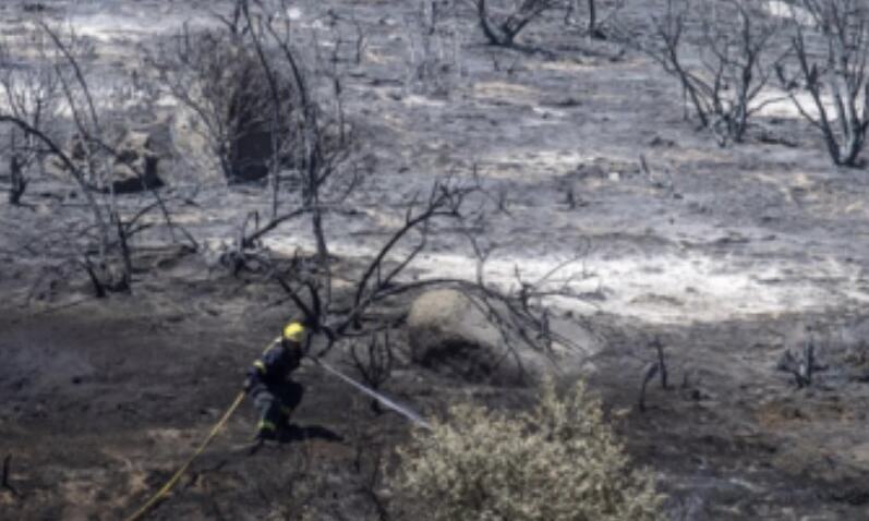 300+ Firefighters Battle Blaze Threatening Cape Town Neighborhood 300+ Firefighters Battle Blaze Threatening Cape Town Neighborhood