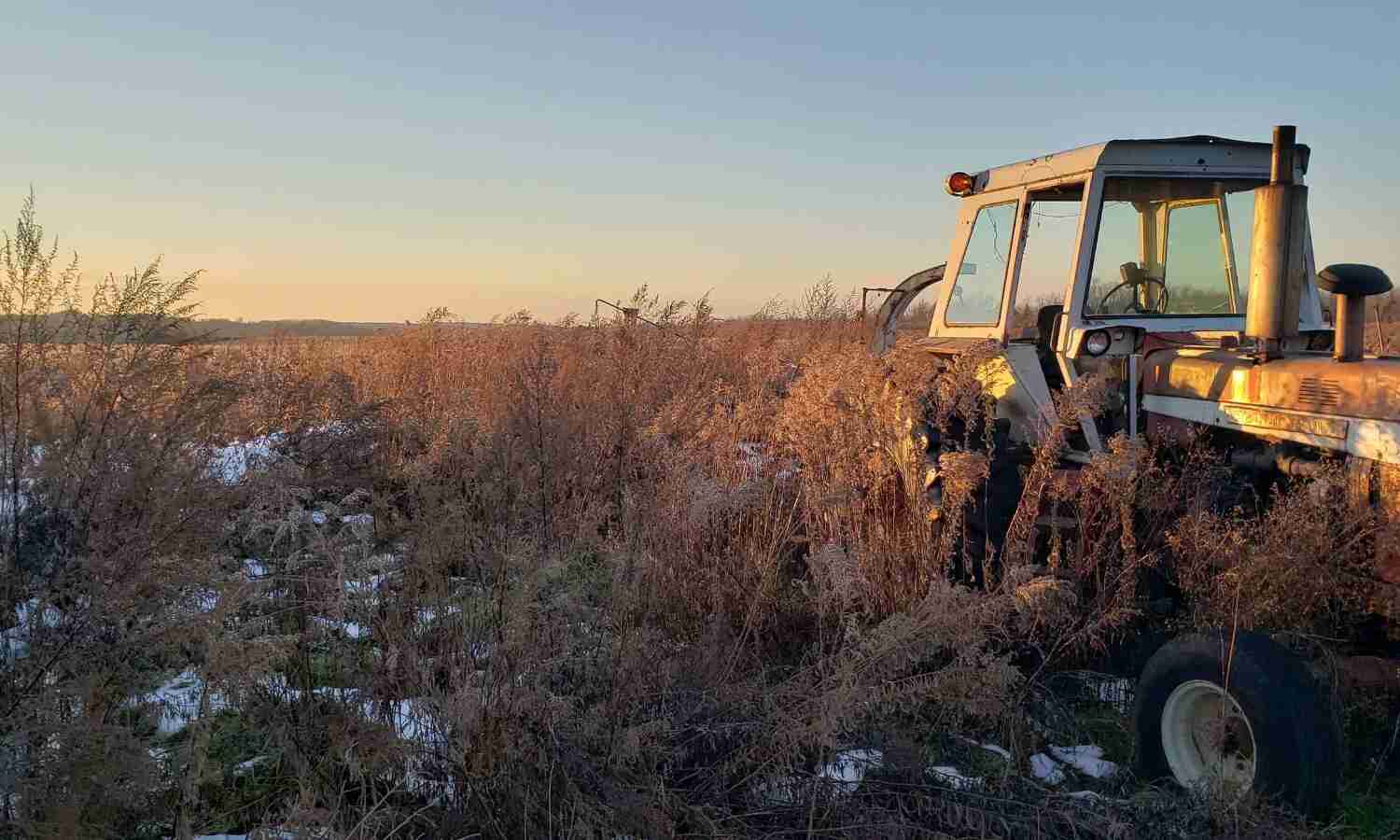 Broken Barns: US Inauguration Overshadowed by Deep Structural Ills Broken Barns: US Inauguration Overshadowed by Deep Structural Ills
