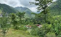 Forged Power of Attorney, Ignored CBI Findings: How a Disputed Dehradun Land Deal Kept Moving Forward
