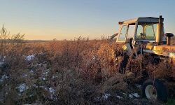 Broken Barns: US Inauguration Overshadowed by Deep Structural Ills