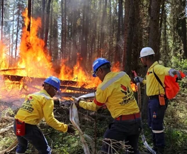 Deadly Devastation: Canadas Worst Wildfire Season Claims Lives of Three Brave Firefighters