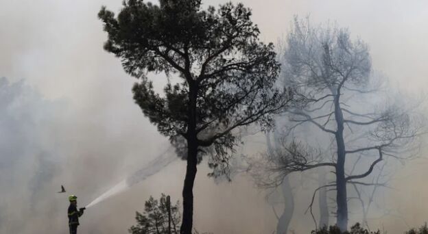 Tragic Wildfires Ravage Greece: 20 Dead, Largest Blaze in EU Since 2000