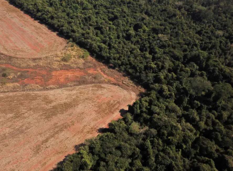 Deforestation in Colombia and Brazil: Progress and Challenges