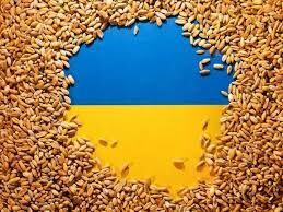 Eastern European Countries Implement Restrictions on Ukrainian Grain Imports Amid Export Challenges and Conflict with Russia