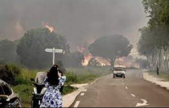 Devastating Fire Engulfs 500 Hectares in South of France, Forces 2,000 Evacuations