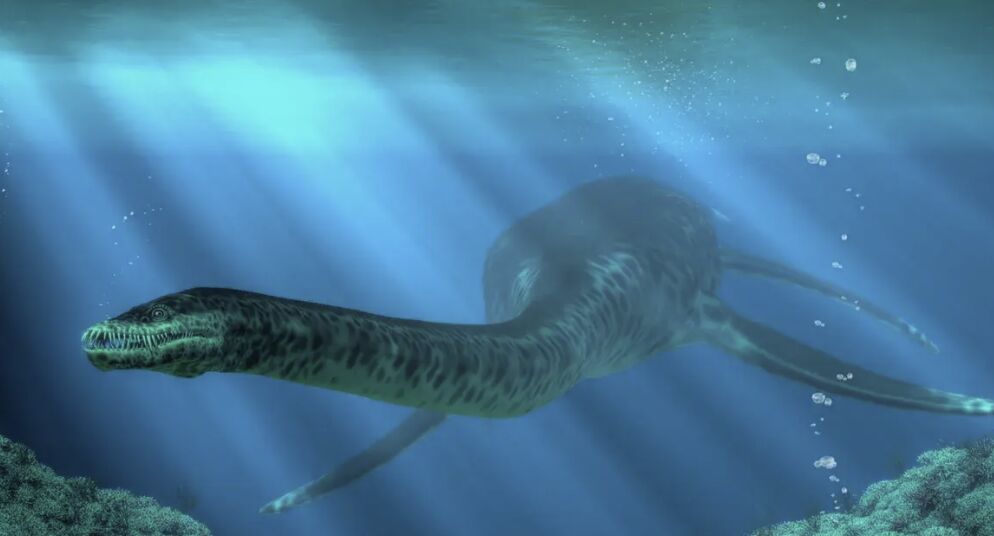 Groundbreaking Study Uncovers Secrets of Plesiosaurs Rapidly Growing Neck Evolution