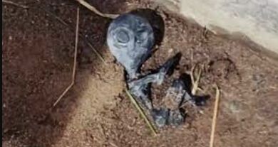 Bolivian Village Discovers Dead Extraterrestrial in Gutter, Vanishes Mysteriously: Are Aliens Among Us?