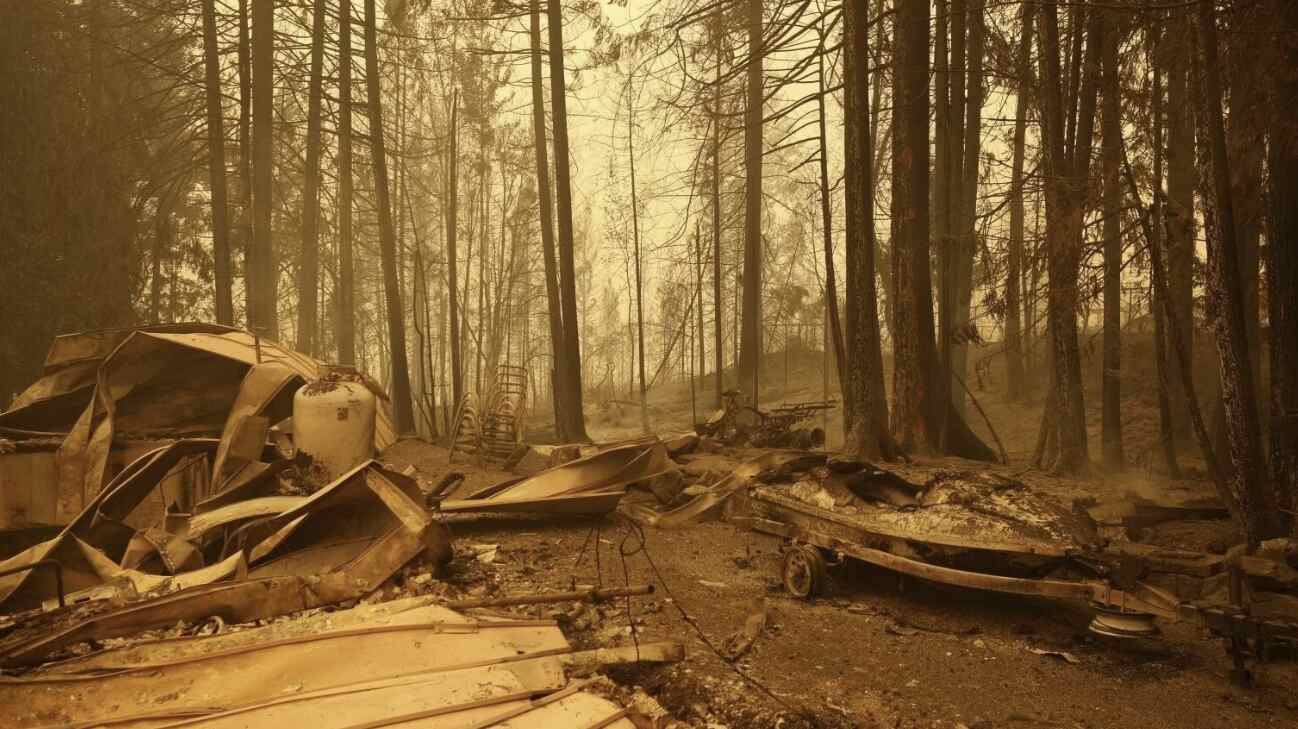 Raging Wildfires in British Columbia Force Evacuation of 35,000: Situation Described as Life and Death by Premier