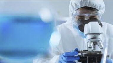 Deadly Nipah Virus Outbreak Claims Lives in Kerala: Central Government Increases Surveillance on Bats