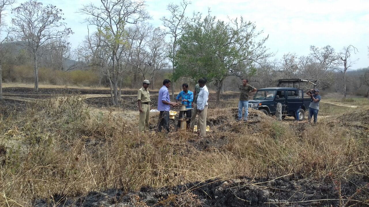 Not a drop to drink: NGO installs solar water pumps for parched wild animals