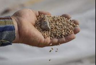 Poland-Ukraine Tensions Soar: Grain Ban Dispute Sparks Warning and Complaint Filing