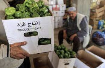 Explosives Discovery Prompts Closure of Gaza Crossing, Leaving Palestinians in Economic Turmoil