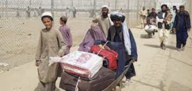 Pakistani Province Sets Ambitious Target: Deport 10,000 Illegal Afghan Migrants Daily