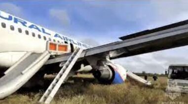 Dramatic Emergency Landing: Russian Passenger Plane Touches Down Safely in Siberian Field Amidst Technical Issue