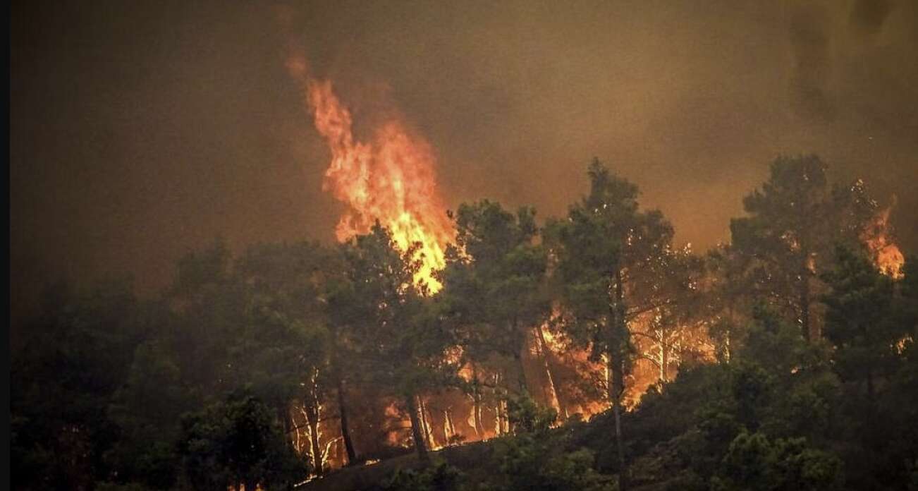 Massive Wildfires Ravage Greek Island of Rhodes, Forcing Largest Evacuation in Countrys History