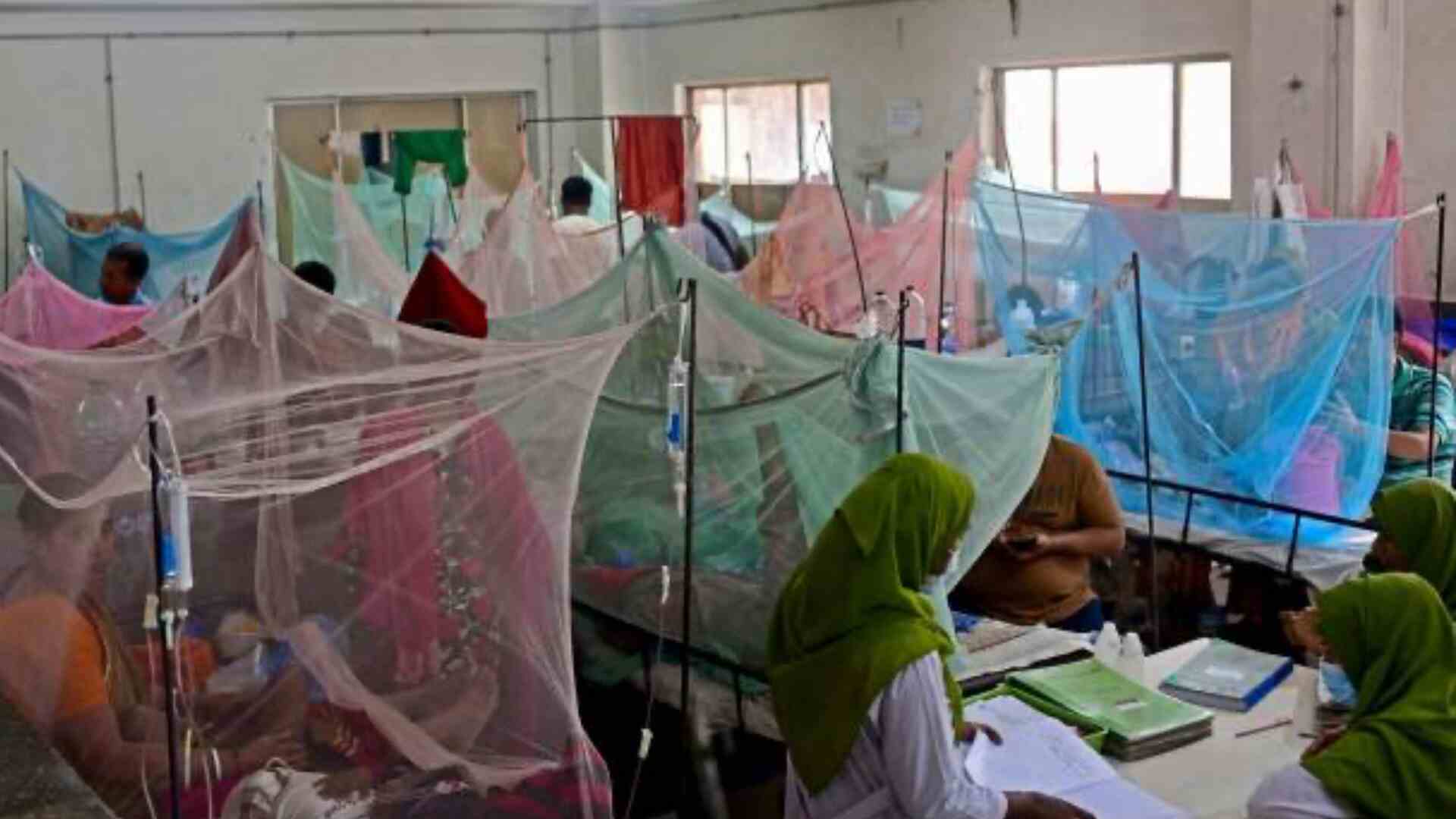 Takedas Dengue Vaccine Receives WHO Pre-qualification