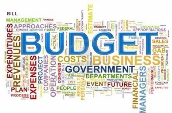 Statistics and budget speech dont match
