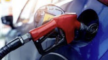 Gasoline Prices Plummet Just in Time for Thanksgiving, Fueling a Cost-Effective Holiday Season for American Travelers