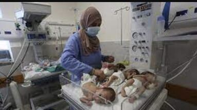Israeli Defence Forces evacuate 29 unwell Babies from Al-Shifa Hospital to Egypt