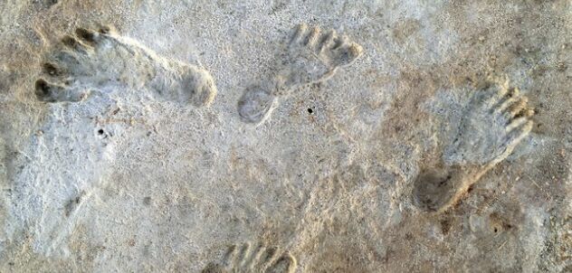 New Research Challenges Timeline of Human Arrival in Americas: Footprints Reveal Surprising 23,000-Year-Old Discovery