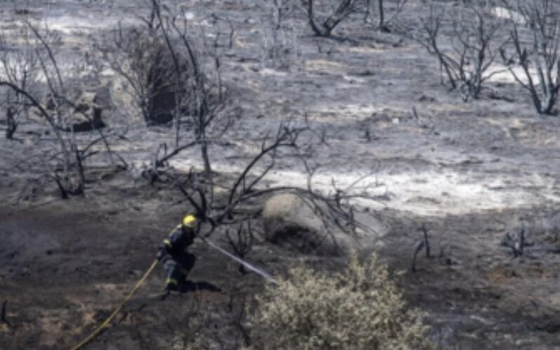 300+ Firefighters Battle Blaze Threatening Cape Town Neighborhood