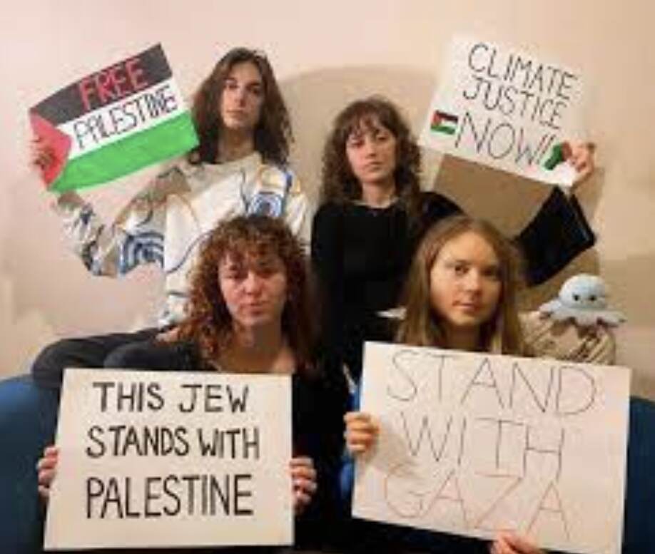 Greta Thunbergs Pro-Palestinian Stance Draws Criticism, Climate Movement Divided