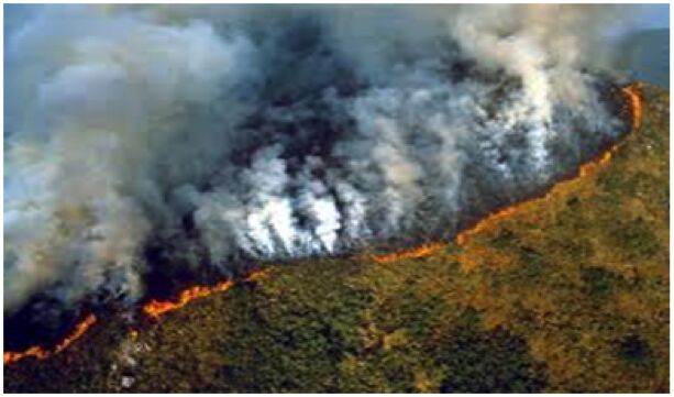 Amazon is burning!!! An alarming call to preserve the green lap