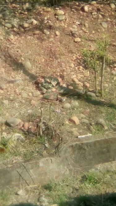 Ops enter day 2 in Jammu, 3 terrorists and 2 army men killed