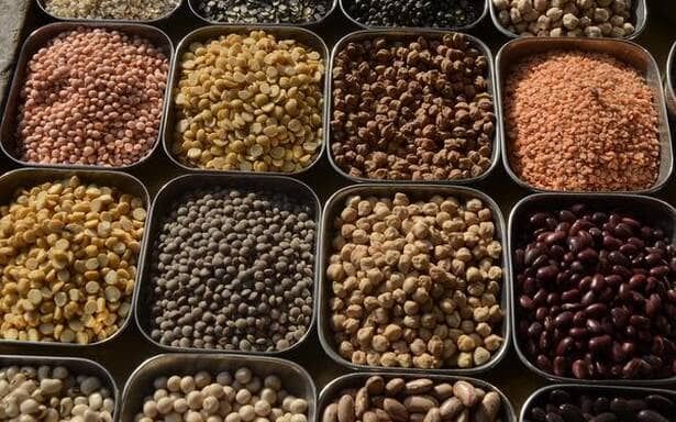 Agri-tech startup WayCool raises Rs 120 cr