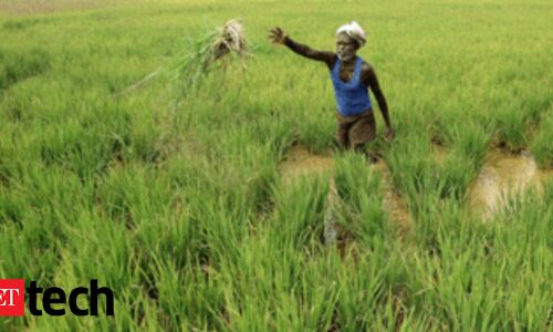 Tiger Global pumps Rs 625 crore in NinjaCart - ETtech