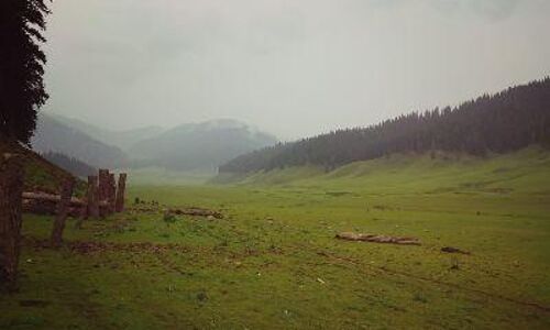 The Bangus Valley is the most beautiful spot which lies in Himalayan sub-valley of Kashmir. It is situated to the north of Kupwara district, in Jammu and Kashmir and is one of the relatively unexplored grasslands and unknown tourist hotspots. Pic credit Adnan Dar.