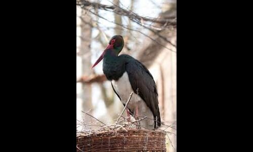 Pic for representational purpose only.