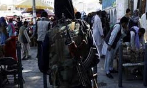 Taliban Court Frees Journalist After 284 Days of Captivity: Reporters Without Borders Fight for Press Freedom Prevails