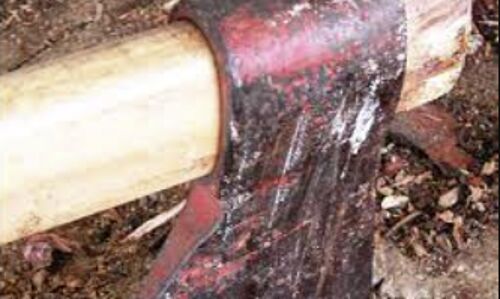 Brutal Axe Murders Rock Pakistan: Families in Shock, Authorities Launch Investigation