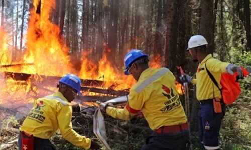 Deadly Devastation: Canadas Worst Wildfire Season Claims Lives of Three Brave Firefighters