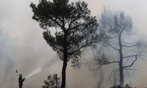 Tragic Wildfires Ravage Greece: 20 Dead, Largest Blaze in EU Since 2000 Tragic Wildfires Ravage Greece: 20 Dead, Largest Blaze in EU Since 2000