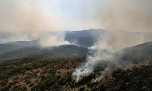Massive Wildfire Ravages Northeastern Greece for 11th Day, International Aid Pours In