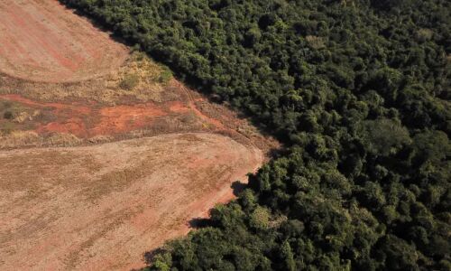 Deforestation in Colombia and Brazil: Progress and Challenges