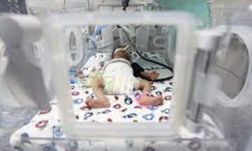 Urgent Plea for Help: Gaza Hospital Struggles to Save Newborn Lives Amidst Blockade and Airstrikes