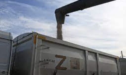 United Nations Takes Action to Revive Russias Grain and Fertilizer Exports, Reviving Black Sea Initiative