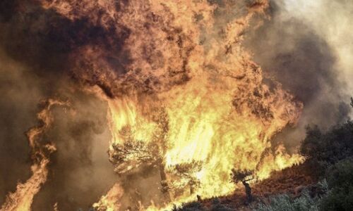 Tragedy Unveiled: 18 Bodies Found in Greek Forest Amid Raging Wildfires; The Death Toll Climbs to 20