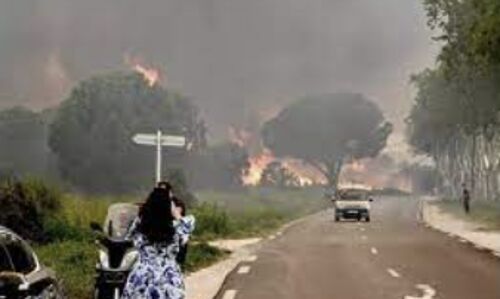 Devastating Fire Engulfs 500 Hectares in South of France, Forces 2,000 Evacuations