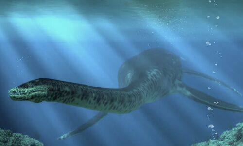 Groundbreaking Study Uncovers Secrets of Plesiosaurs Rapidly Growing Neck Evolution
