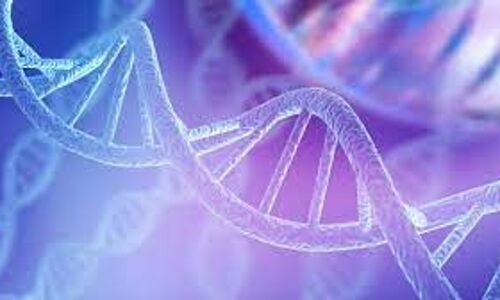 Mexico City to open DNA profile center in a landmark move against violent crime