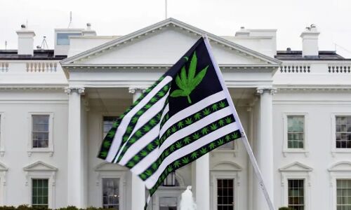 Bidens Bold Move: Pardons Thousands Convicted of Marijuana Use and Possession