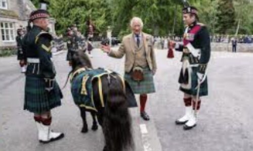 Animal Rights Advocates Crossed the Line: Three Charged for Lambs Rescue Gone Wrong Animal Rights Advocates Crossed the Line: Three Charged for Lambs Rescue Gone Wrong