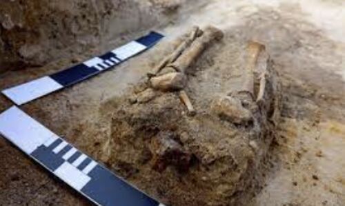 Archaeological Breakthrough: Revenant Remains Unearthed in 17th-Century Poland, Shedding Light on Proto-Zombies Archaeological Breakthrough: Revenant Remains Unearthed in 17th-Century Poland, Shedding Light on Proto-Zombies
