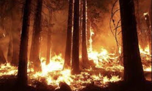 Deadliest Wildfire in Over a Century: Mauis Lahaina Fire Claims 90+ Lives, Spotlights Increasing Climate Change-Driven Blaze Deadliest Wildfire in Over a Century: Mauis Lahaina Fire Claims 90+ Lives, Spotlights Increasing Climate Change-Driven Blaze